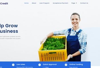 Accept Credit Financial Services Elementor Template